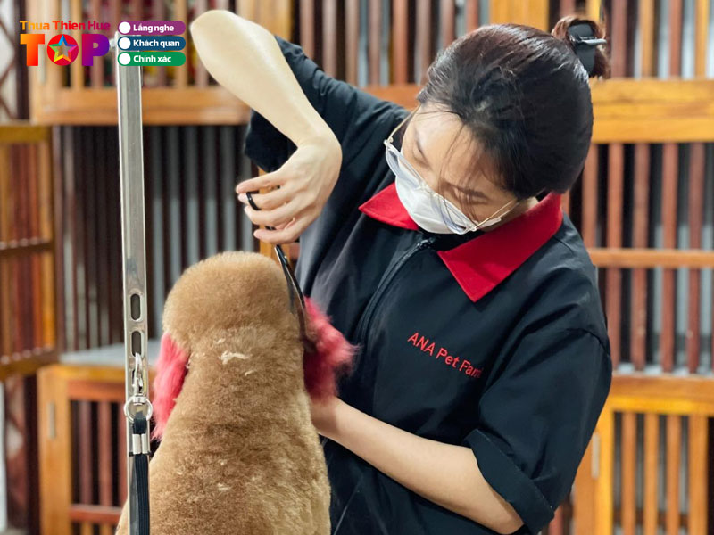 ana-pet-family-hue-huetoplist