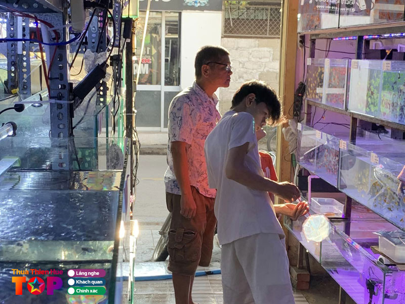 ca-canh-minh-hoang-huetoplist