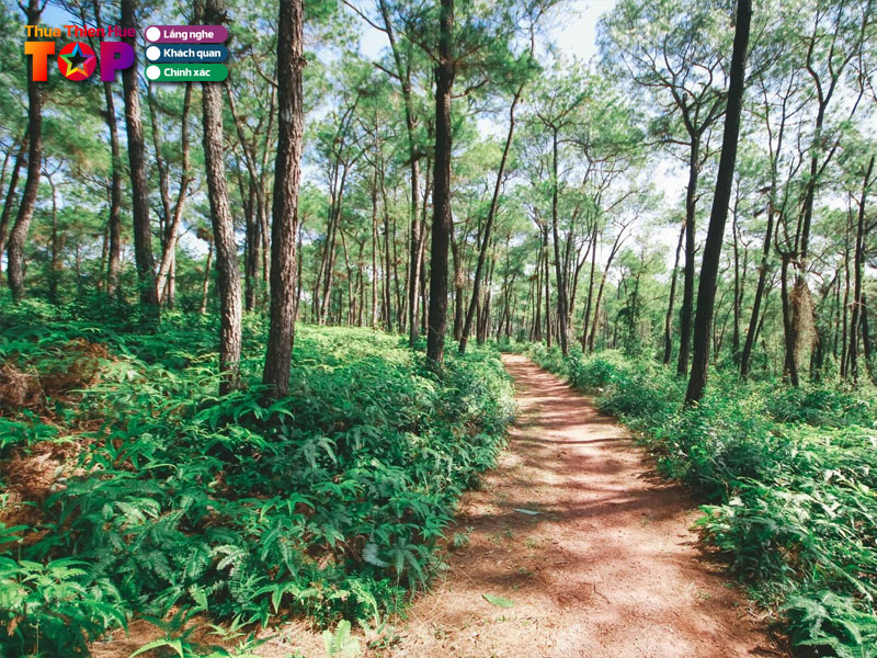 doi-thien-an-ho-thuy-tien-huetoplist