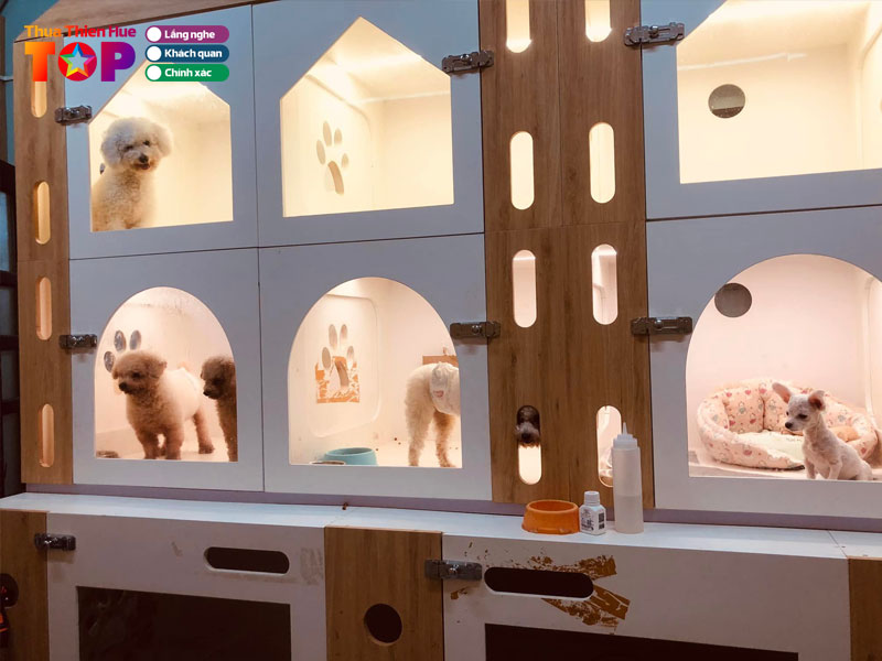 hieu-spa-mini-pet-mart-pet-hotel-huetoplist