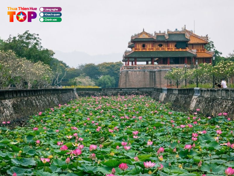 ho-tinh-tam-huetoplist