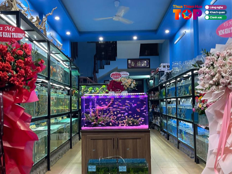 shop-ca-canh-thuy-sinh-huong-thuy-huetoplist
