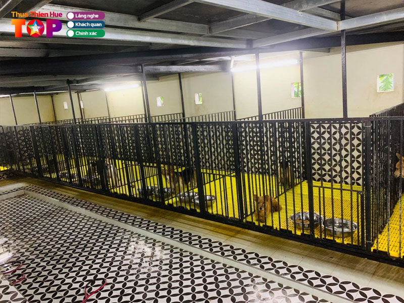 son-tran-pet-care-huetoplist