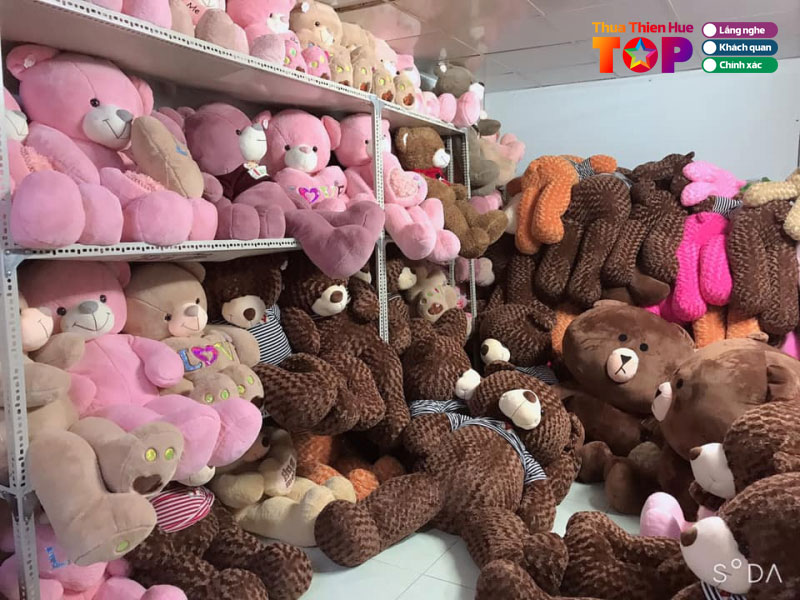 trung-tam-gau-bong-huetoplist