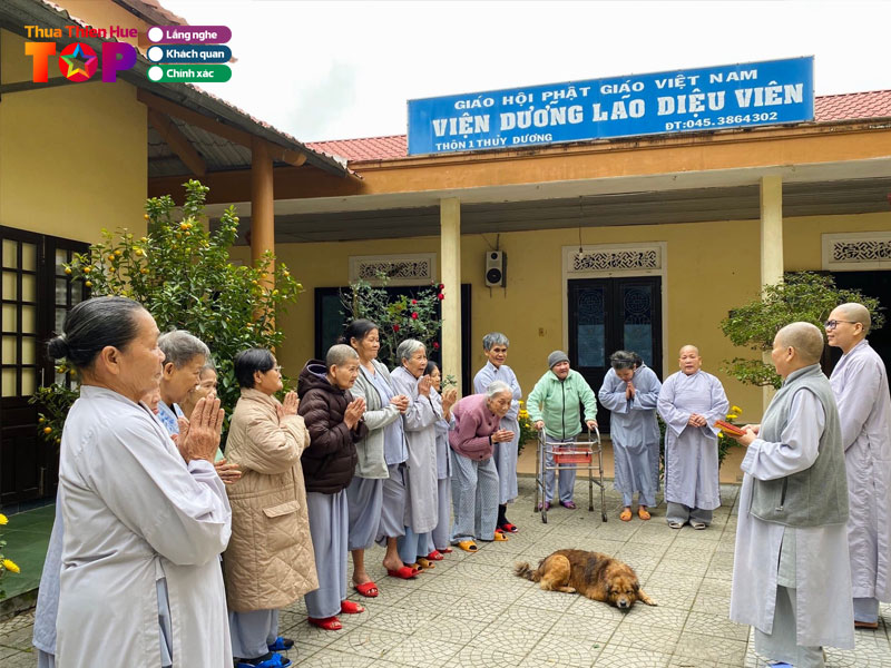 vien-duong-lao-chua-dieu-vien-hue-huetoplist