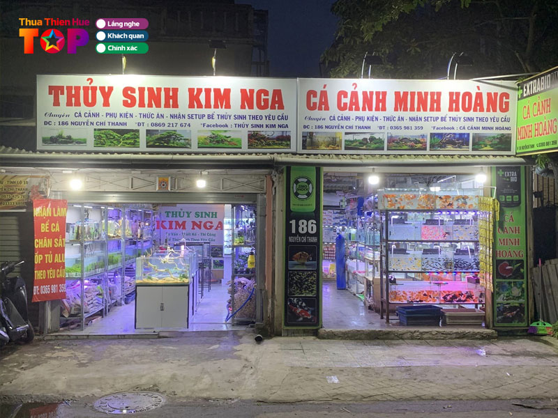 ca-canh-minh-hoang-huetoplist