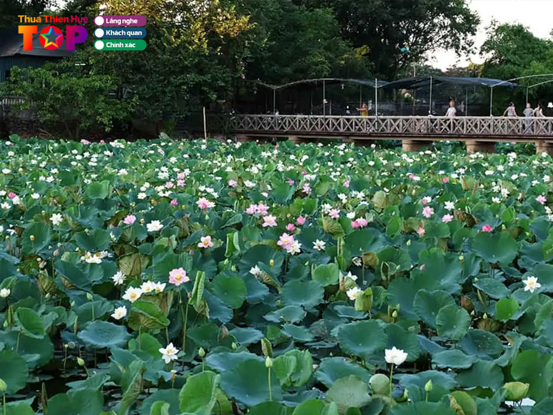 cau-ca-dao-ve-thien-nhien-van-hoa-dia-danh-o-hue-huetoplist