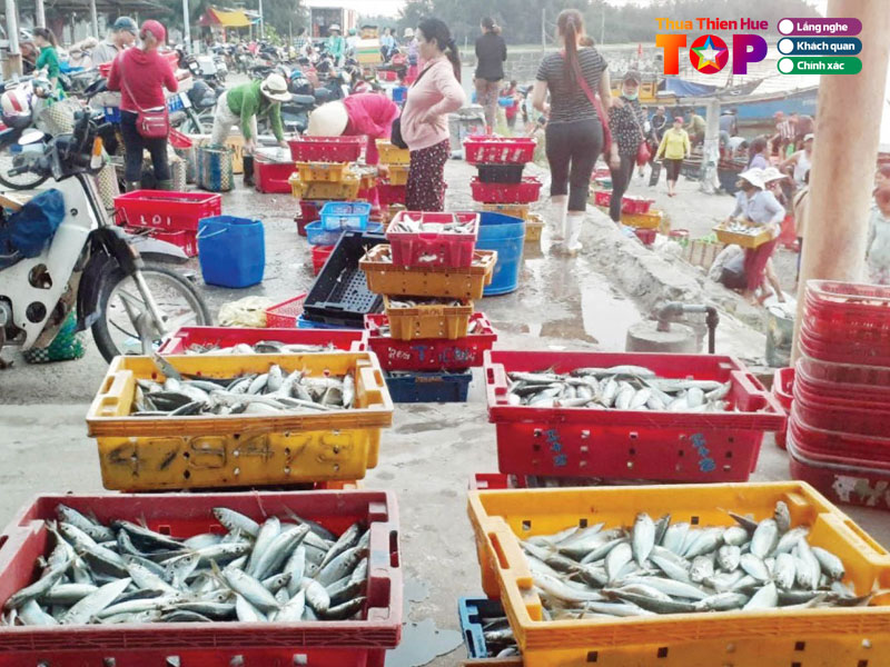 cho-vinh-thanh-hue-huetoplist