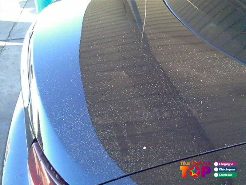 trung-tam-cham-soc-xe-o-to-tam-an-huetoplist