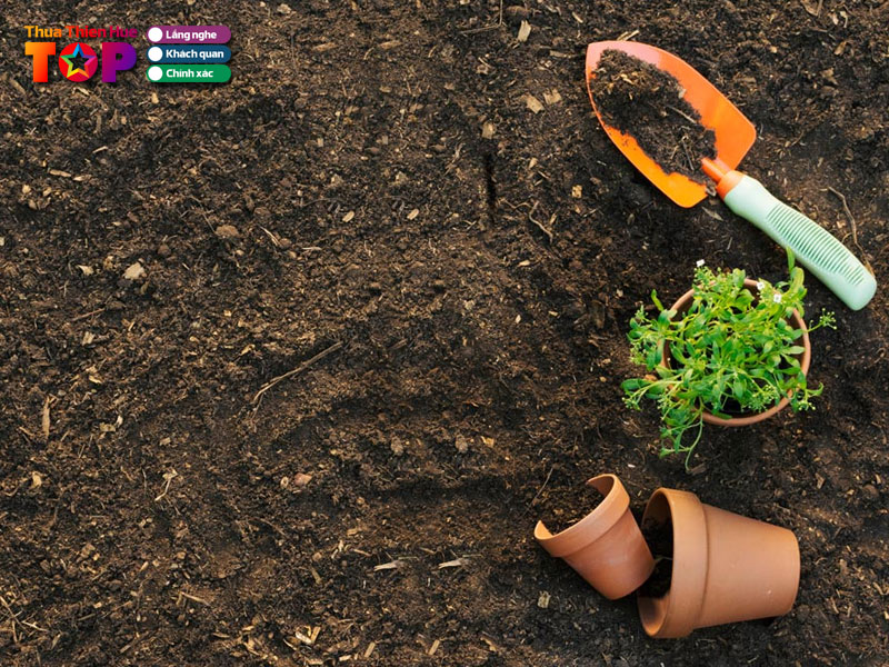 cua-hang-cay-canh-thai-an-huetoplist