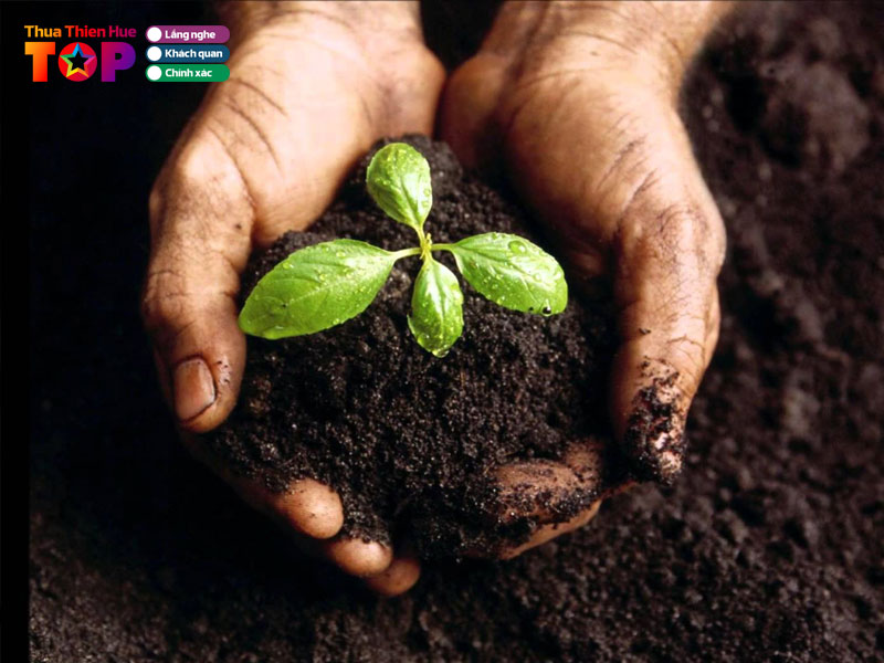 dai-ly-vat-tu-nong-nghiep-ho-tan-khanh-huetoplist