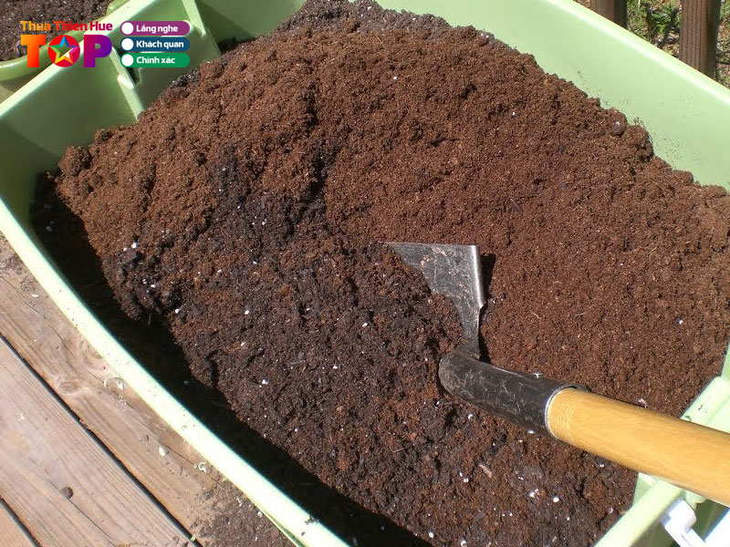 vuon-uom-cay-xanh-hue-huetoplist