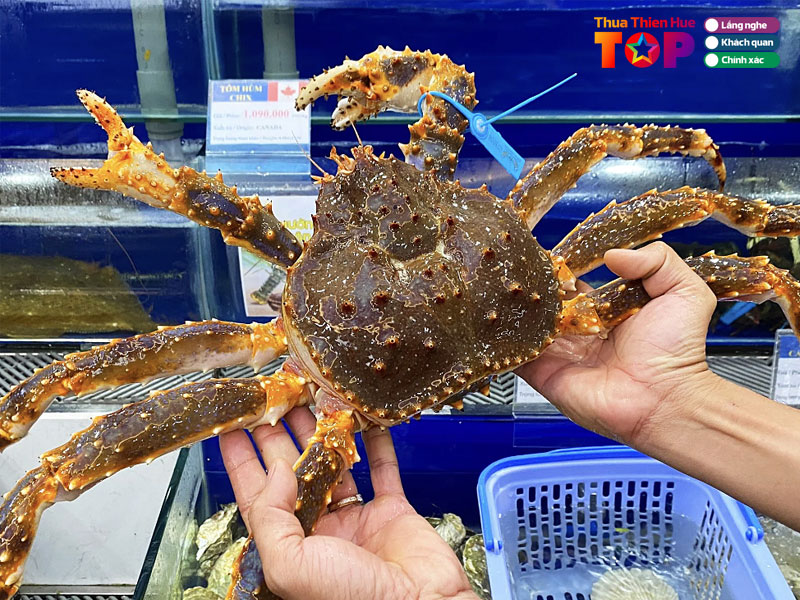 Cung-cap-hai-san-tuoi-sach-hue-huetoplist