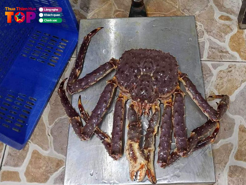 Tom-hum-canada-mr-chinh-huetoplist