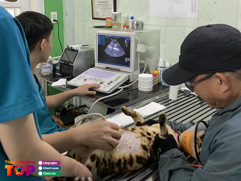 Benh-vien-thu-y-win-pet-hue-huetoplist