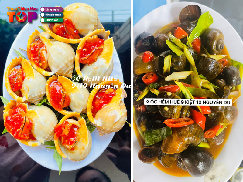 Oc-hem-9-10-nguyen-du-huetoplist