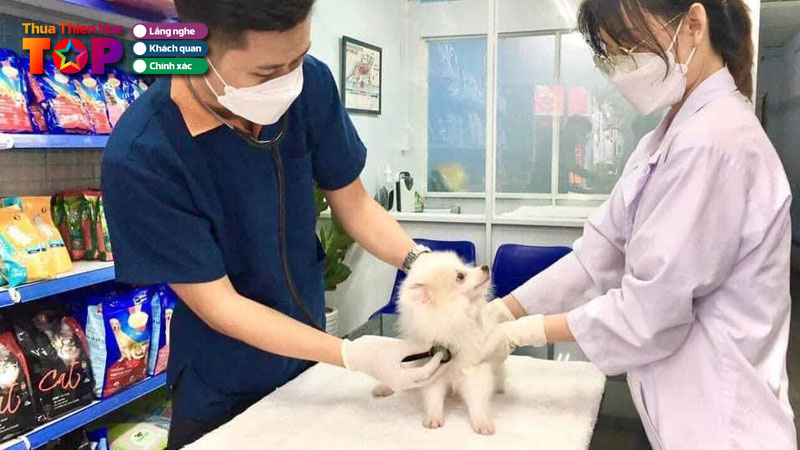 Top-11-phong-kham-thu-y-hue-uy-tin-va-an-toan-cho-thu-cung-huetoplist