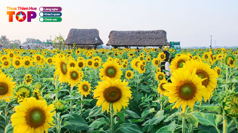 Top-8-vuon-hoa-hue-cuc-dep-cho-ban-tha-ho-song-ao-huetoplist