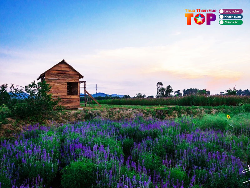 Vuon-hoa-green-life-farm-huetoplist