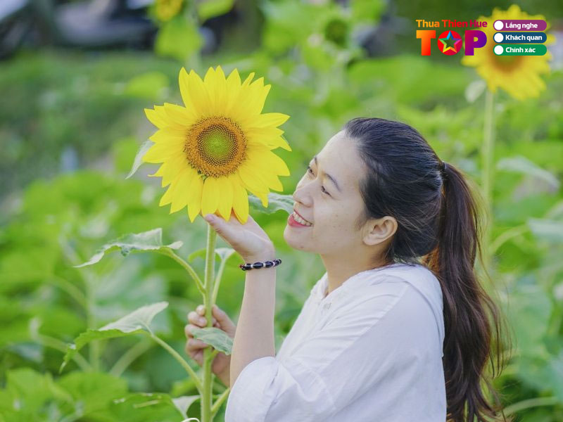 Vuon-hoa-huong-duong-gan-chua-huyen-khong-son-thuong-huetoplist