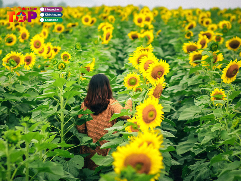 Vuon-hoa-o-ly-nam-de-huetoplist