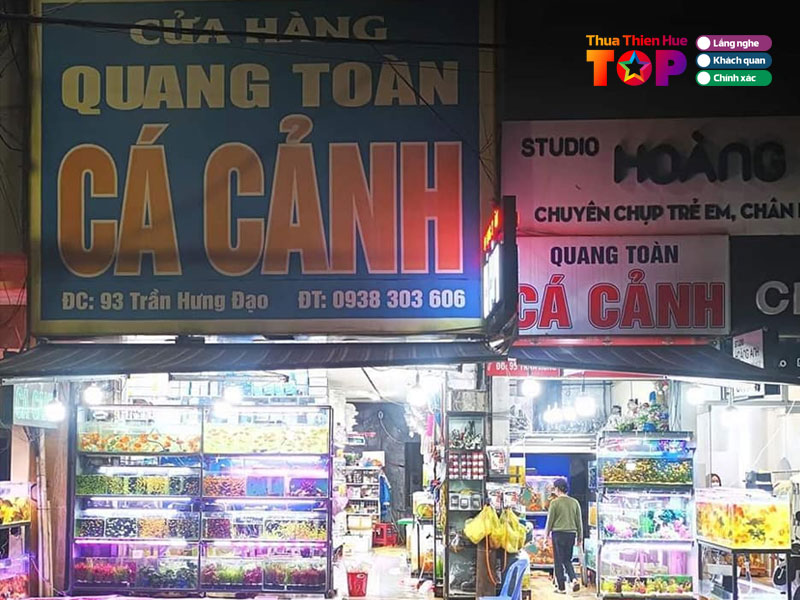 Ca-koi-quan-toan-huetoplist