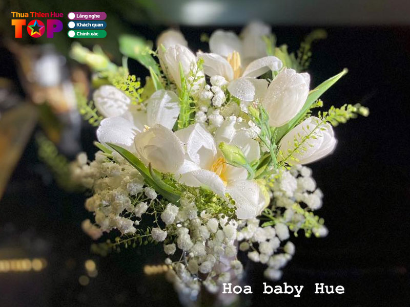 Hoa-baby-hue-huetoplist