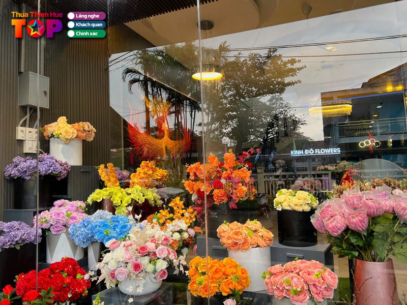 Kinh-do-hoa-hue-huetoplist