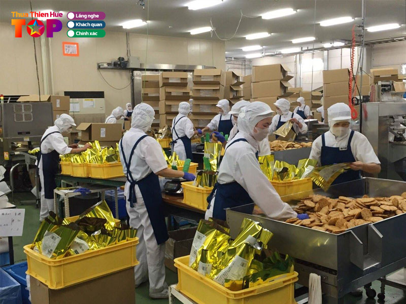 Cong-ty-co-phan-dau-tu-vinh-cat-huetoplist