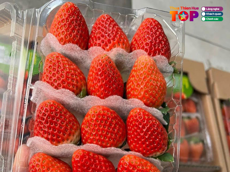 Kim-ngan-fruits-huetoplist