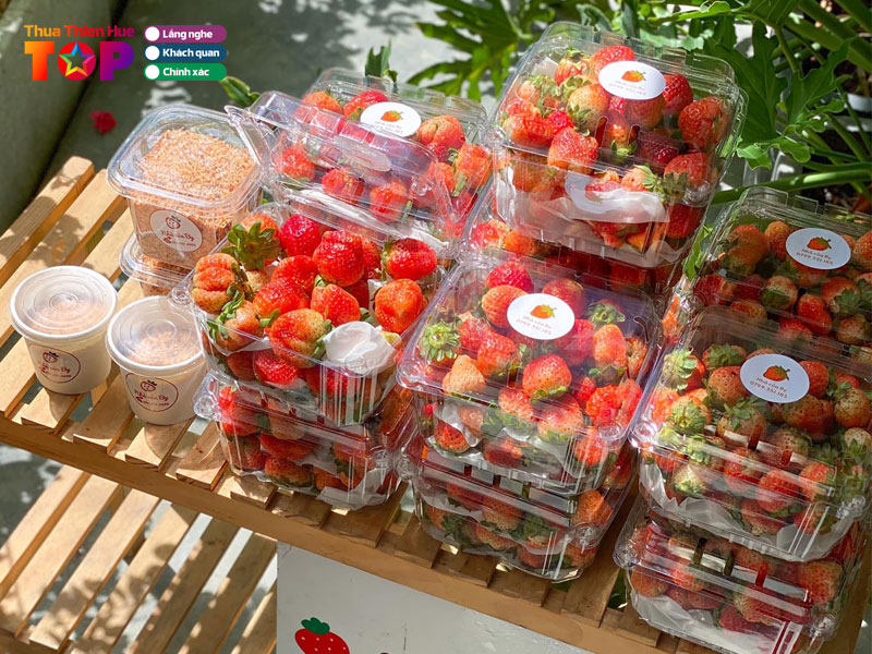 Nha-cua-by-huetoplist