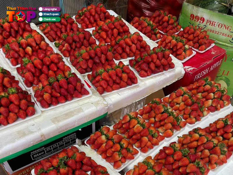 Trai-cay-va-nong-san-theo-mua-tai-hue-huetoplist