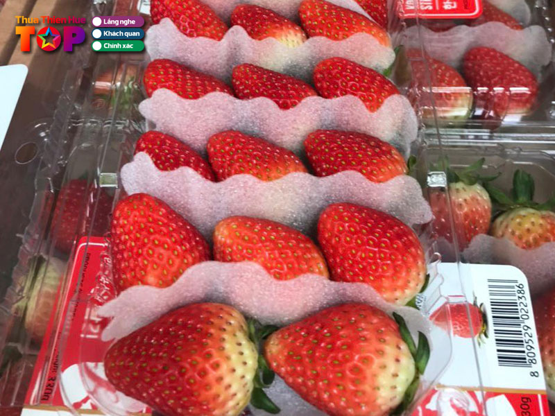 V’fresta-huetoplist