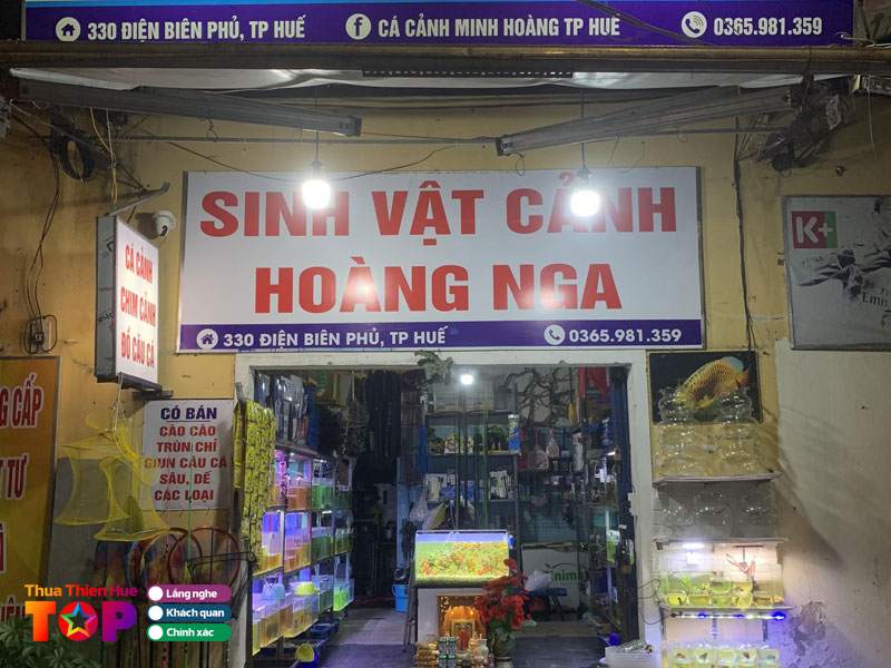 Ca-canh-minh-hoang-huetoplist