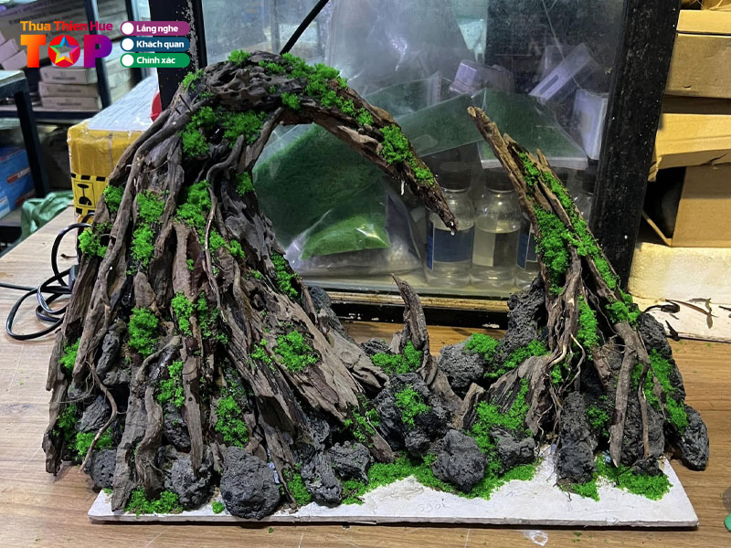 Happy-aqua-huetoplist