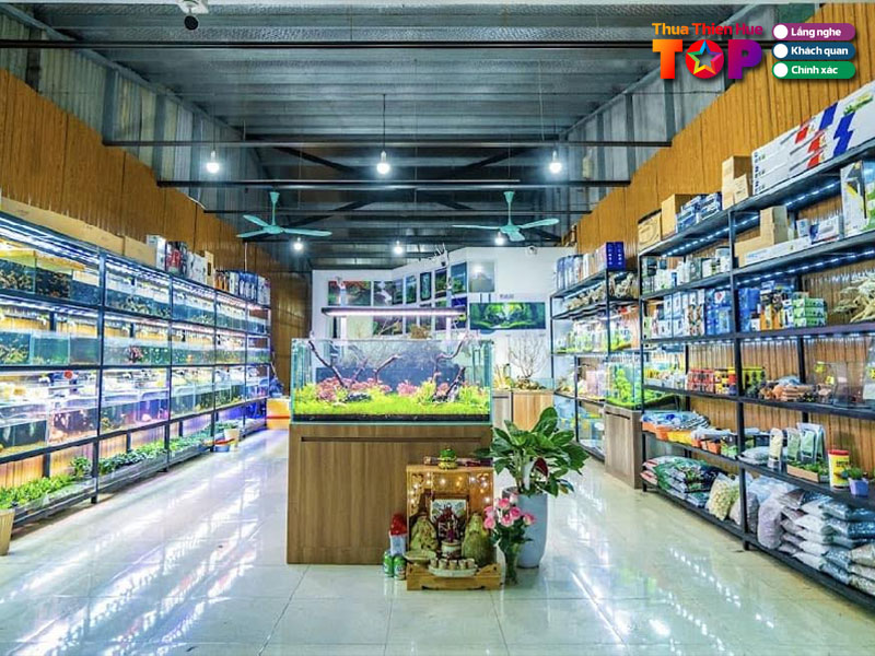 Thuy-sinh-ngoc-ly-huetoplist