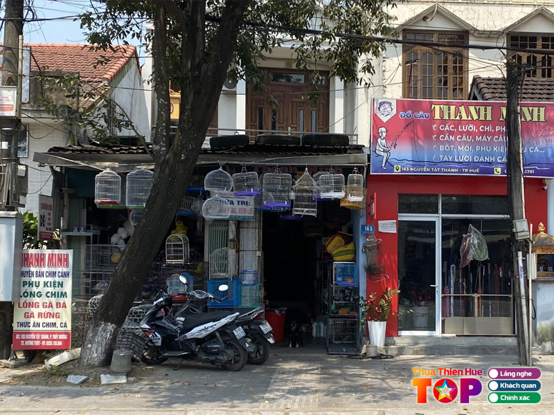 Chim-canh-thanh-minh-huetoplist