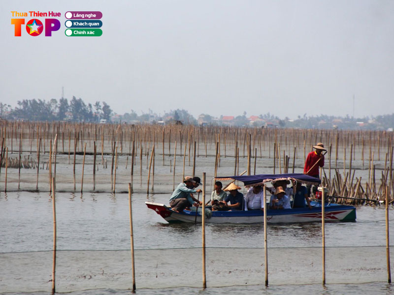 Con-te-thien-duong-sinh-thai-giua-long-dam-pha-huetoplist
