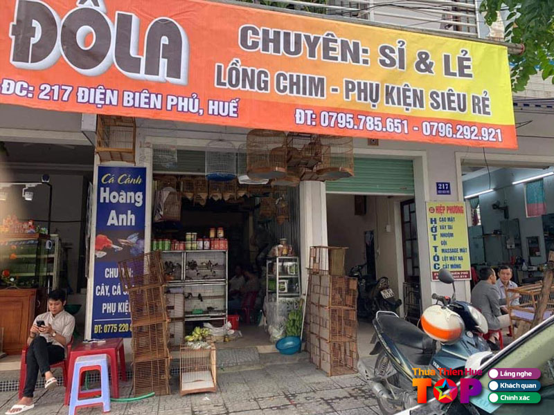 Do-la-chim-canh-huetoplist