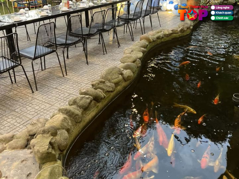 King-‘s-garden-huetoplist