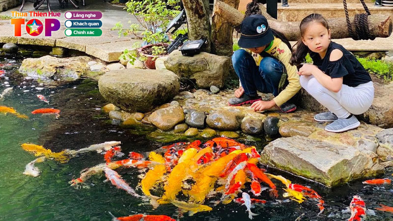 Top-7-quan-cafe-ca-koi-hue-view-dep-duoc-yeu-thich-nhat-huetoplist