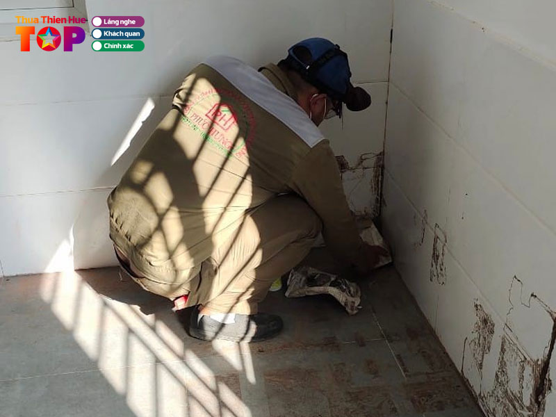 Diet-moi-tan-goc-phuc-hung-huetoplist