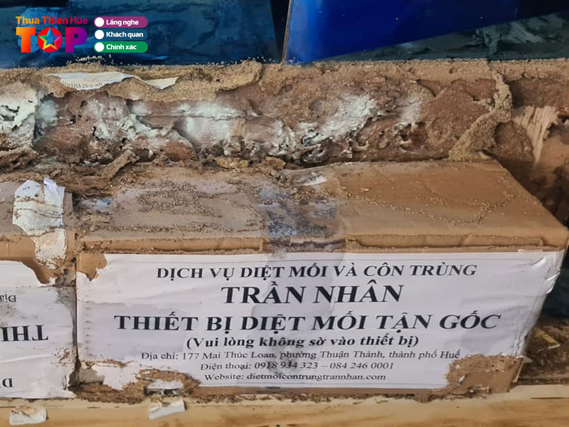 Diet-moi-tran-nhan-huetoplist