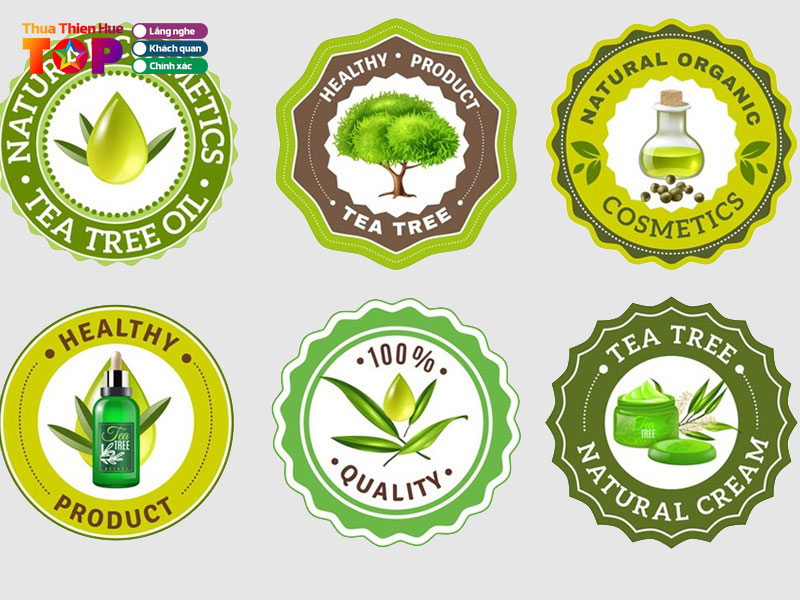 Cong-ty-in-an-in-kien-vn-huetoplist