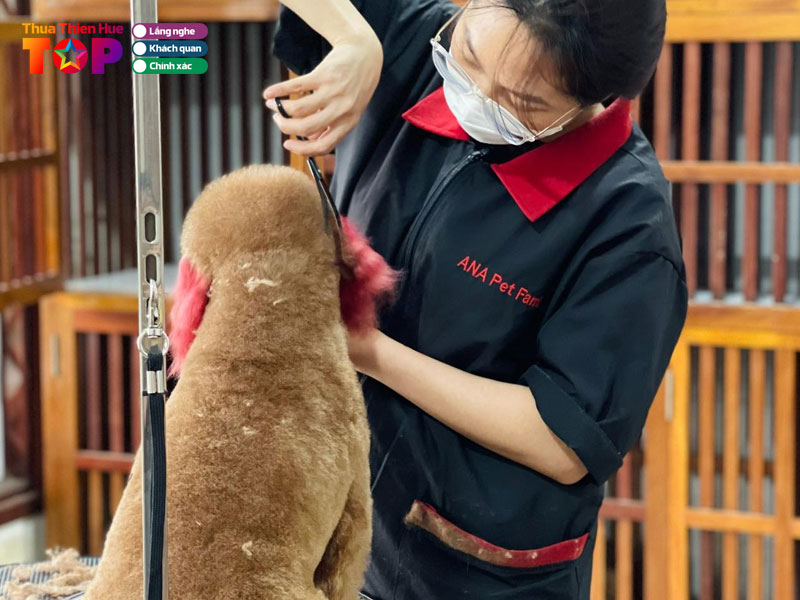 Ana-pet-family-huetoplist