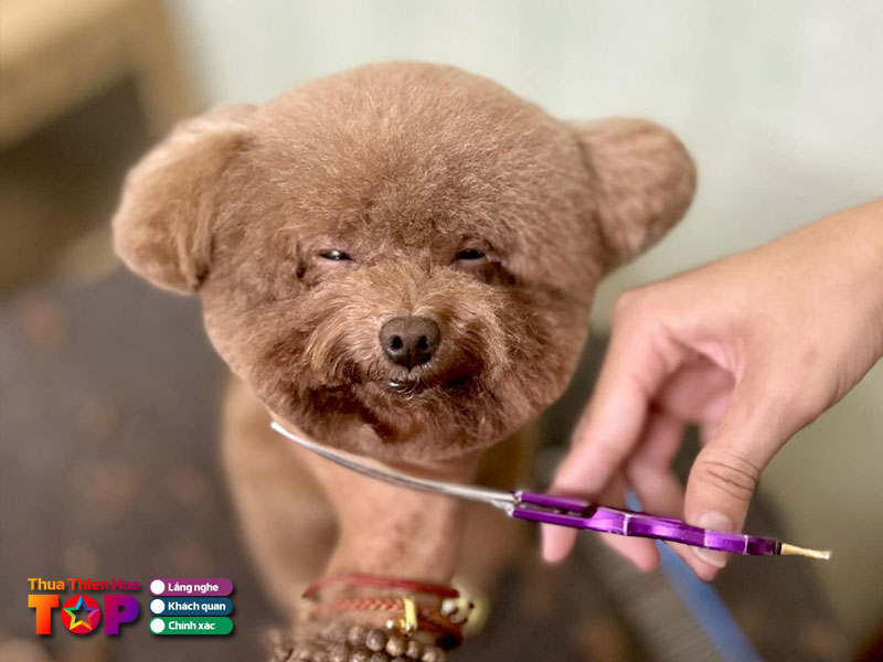 Bk-pet-house-huetoplist