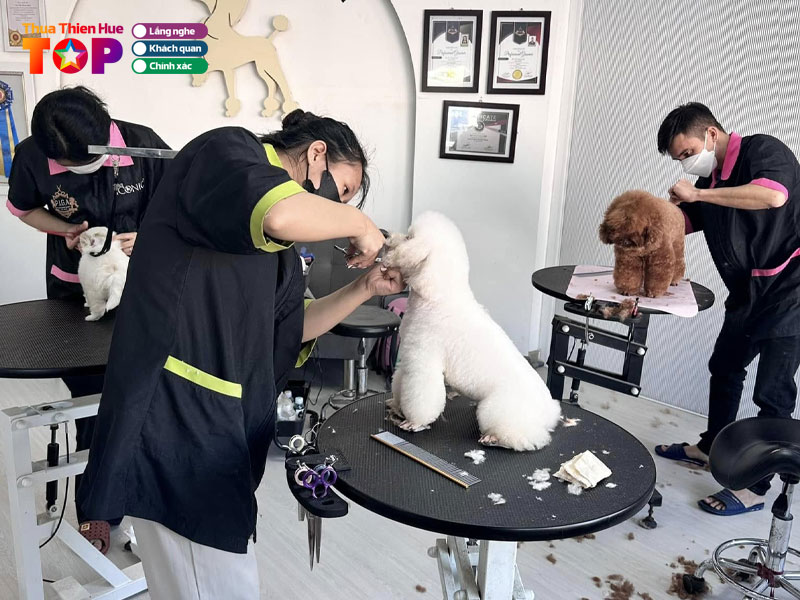 Bui-hong-linh-grooming-huetoplist