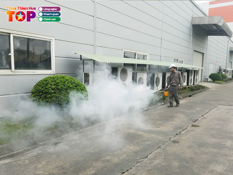 Dai-viet-pestcontrol-huetoplist