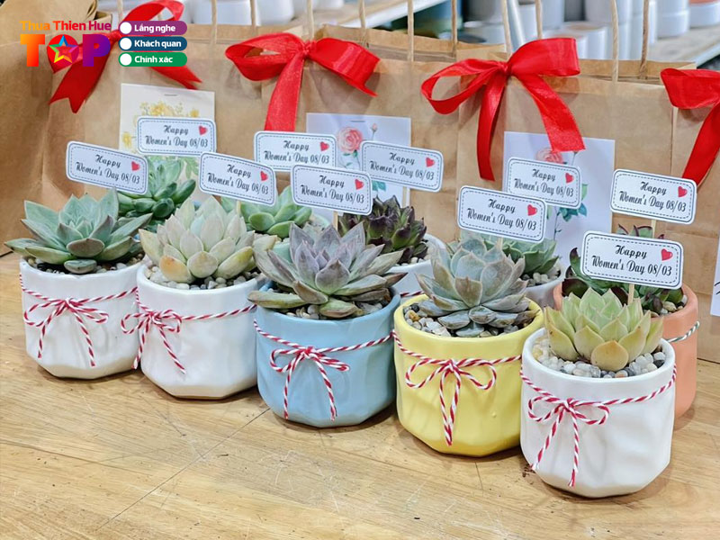 Happy-garden-hue-huetoplist