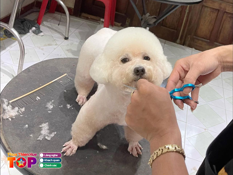 Mun-spa-petshop-huetoplist